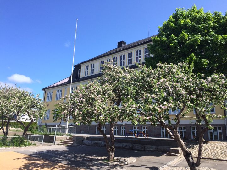 Bekkelaget skole vår